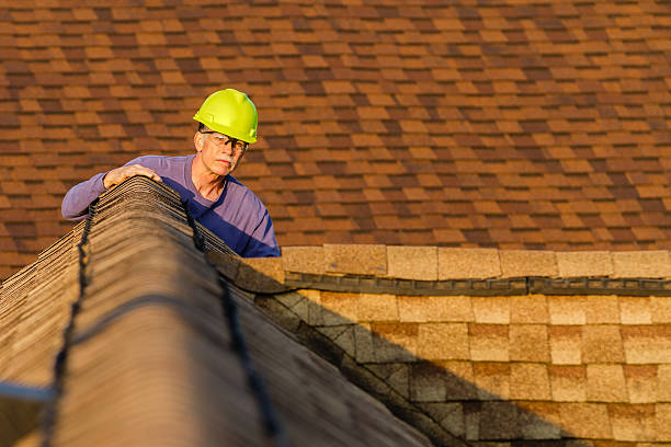 Best Storm Damage Roof Repair  in Citrus Park, AZ