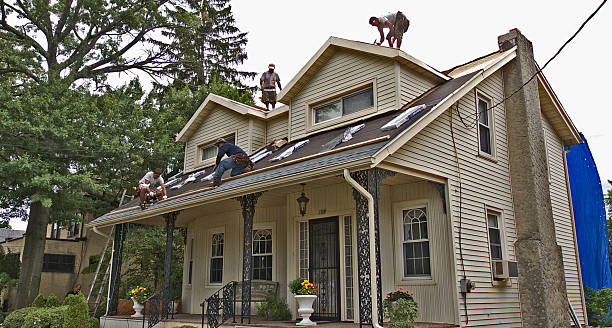 Quick and Trustworthy Emergency Roof Repair Services in Citrus Park, AZ